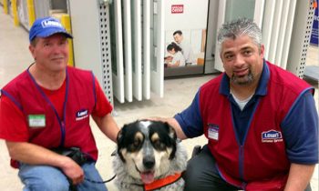 Lowes Hires A Man Who Requires A Service Dog, Makes A Custom Vest For The Dog