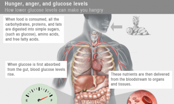 Have You Been Angry When Feeling Hungry? Science Says This Is Normal