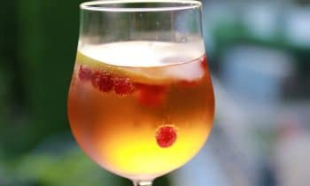 Take Your Booze Outdoors with a Simple Summer Spritz