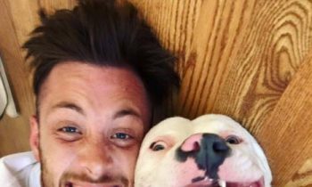 This Cute Dog May Be Put Down Because His Photo Went Viral