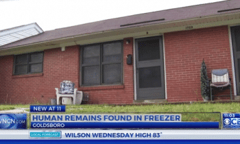 Woman Buys Neighbor's Freezer, Unfortunately It Came With A Horrifying Discovery