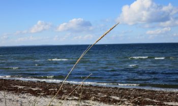 Scientists Confirm Living Near Water Can Improve Mental Health