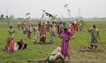 800,000 People Attempt To Plant 50 Million Trees In 24 Hours To Break Guinness World Record