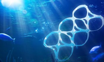 Over 200 Countries Sign Resolution To Stop Plastic Waste In The Ocean