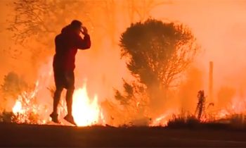 Man Pulls Over On Highway To Save Wild Rabbit From Wildfire