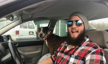 Man Volunteers To Drive Dog Found In Maryland Back Home To Kansas