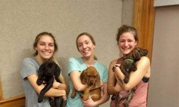 Pilates With Puppies Is A Win-Win For Everyone