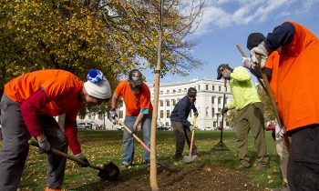 More Than 100 Homeless People In Denver Land Regular Jobs After City Hired Them To Shovel Mulch