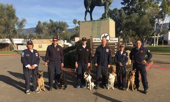 From Rescued To Rescuer: Foundation Turns Shelter Dogs Into First Responders