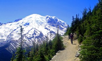 Washingtonand#039;s 3 National Parks Receive $1 Million Donation From Woman Who Loved The Outdoors