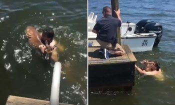 Man Jumps In Lake To Save A Drowning Deer