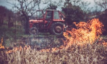 Hate Weeds? Follow These Farmers’ Lead And Buy A Giant Flamethrower