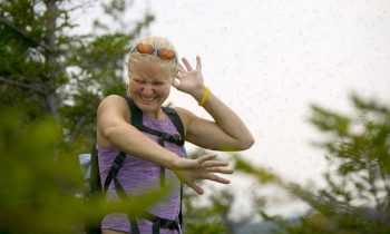 Study Says Mosquitoes Learn From Being Swatted At