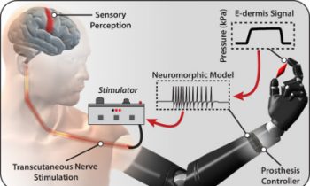 E-Dermis: Feeling At Your (Prosthetic) Fingertips