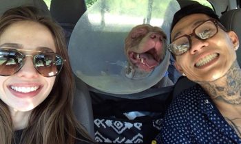 Couple Drives 1,000 Miles To Reunite With Dog Stolen By and#039;Monstersand#039;