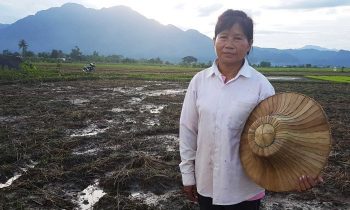 Thai Rice Farmer Volunteers At Cave And Comes Home To Destroyed Farm