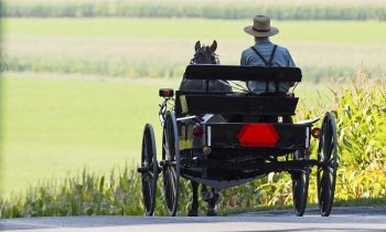 Genius Amish Entrepreneur Starts Horse-And-Buggy “Amish Uber”